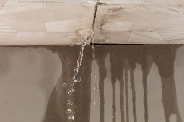 Professional Water Extraction technician working in Wykoff, MN